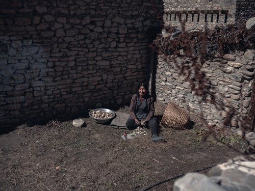 A woman sorting the harvest against a rubble-stone wall. Wind infiltration through dry-stacked cavities is a primary heat-loss path in traditional construction.