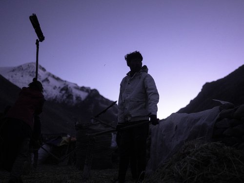 Dawn threshing: silhouetted figures work the grain harvest as the peaks emerge from shadow. The survey team worked alongside the harvest calendar.